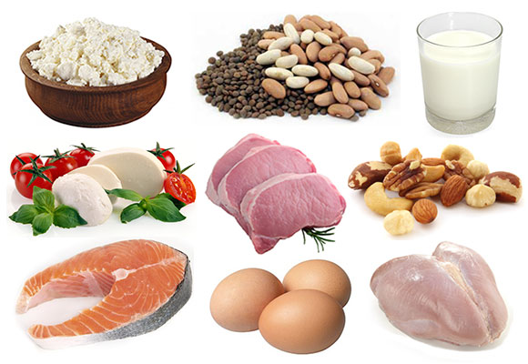 Một số loại thực phẩm chứa protein